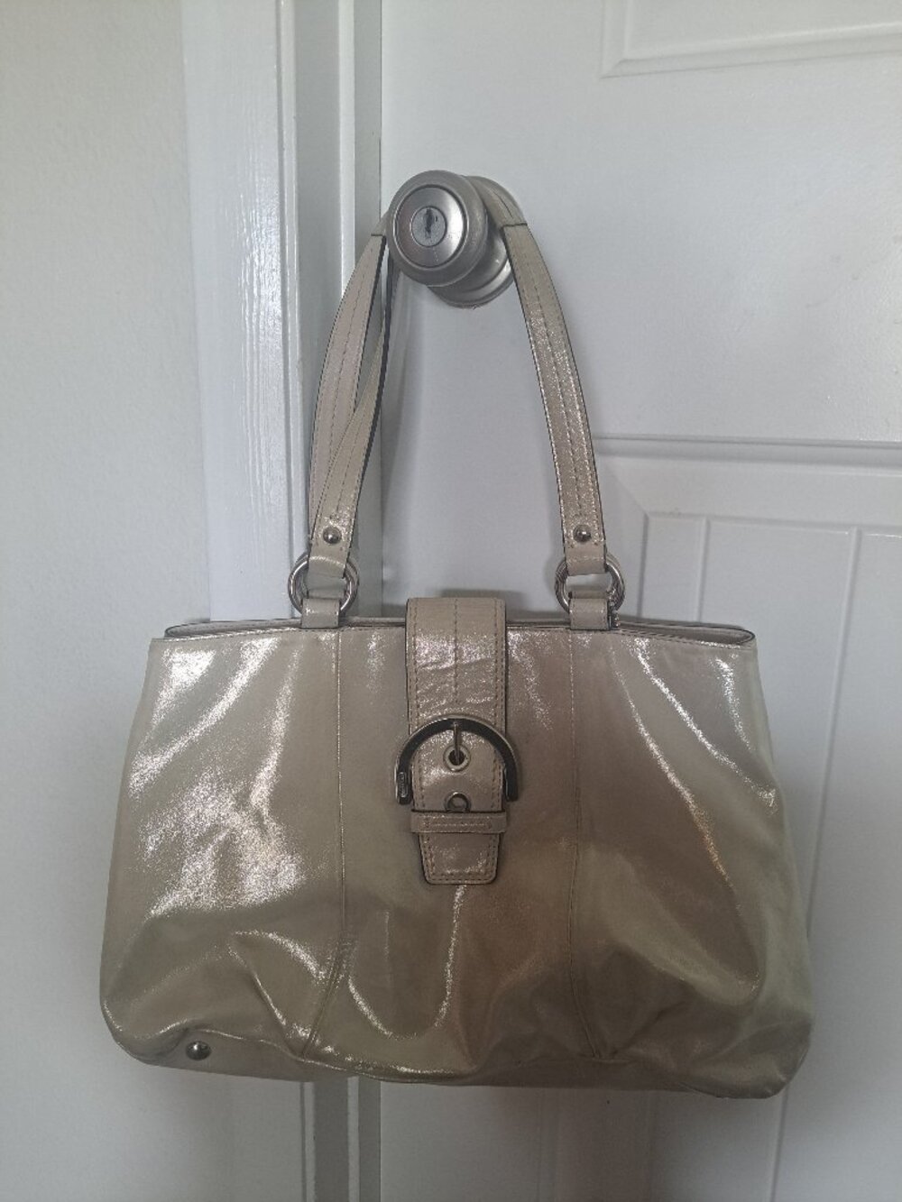 Shimmery Coach Bag
